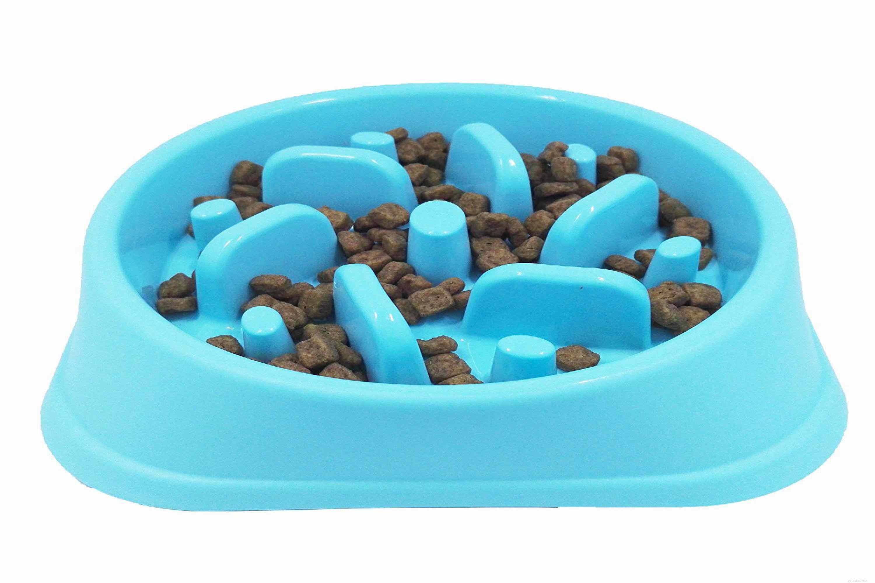Choosing the Ideal Dog Bowl: Safety, Durability, and Nutrition for Your Pet