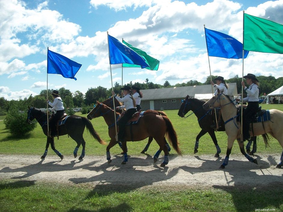 Mastering Drill Riding: A Comprehensive Guide for Riders and Teams