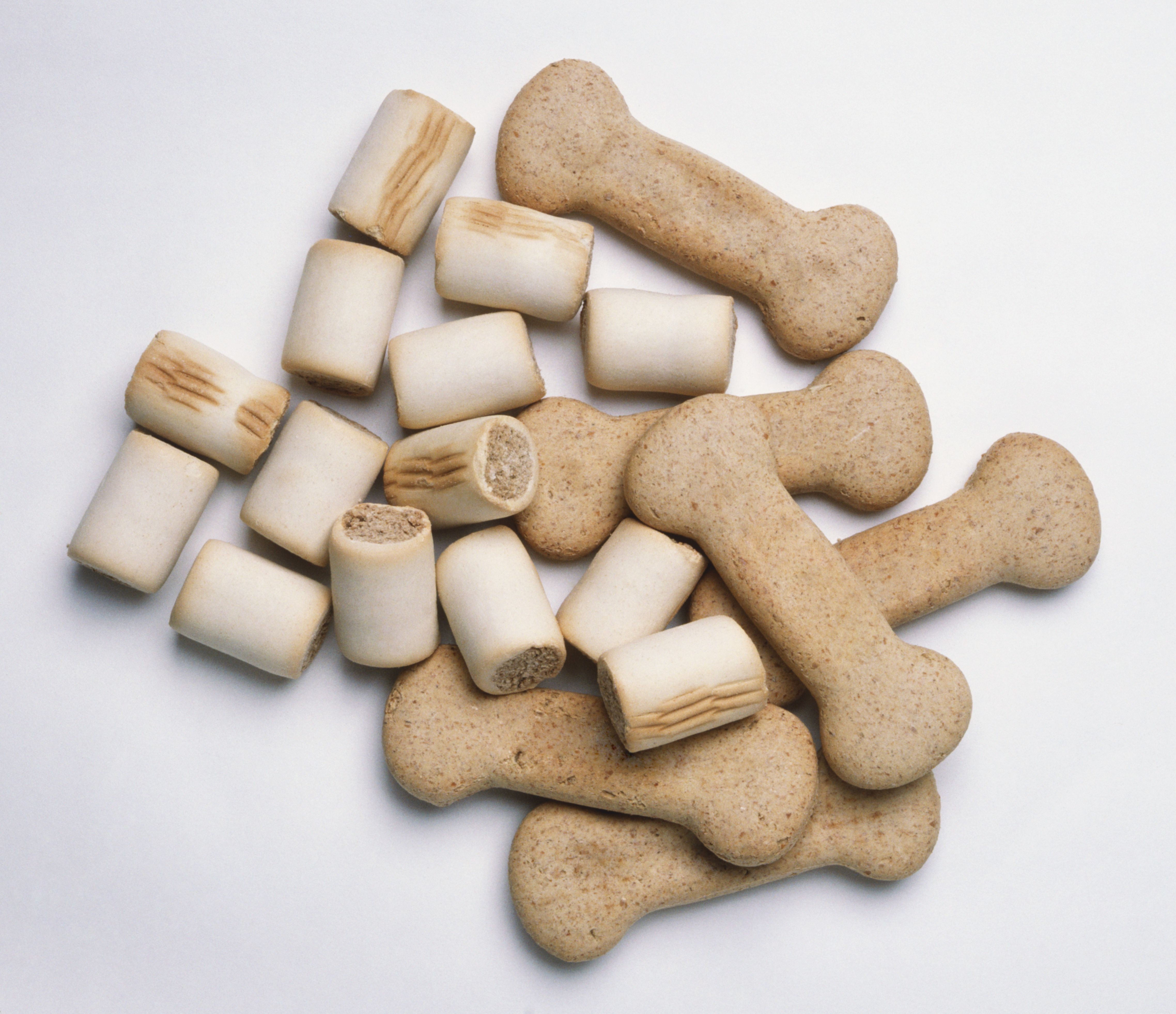 Choosing the Best Treat Varieties for Your Dog s Health