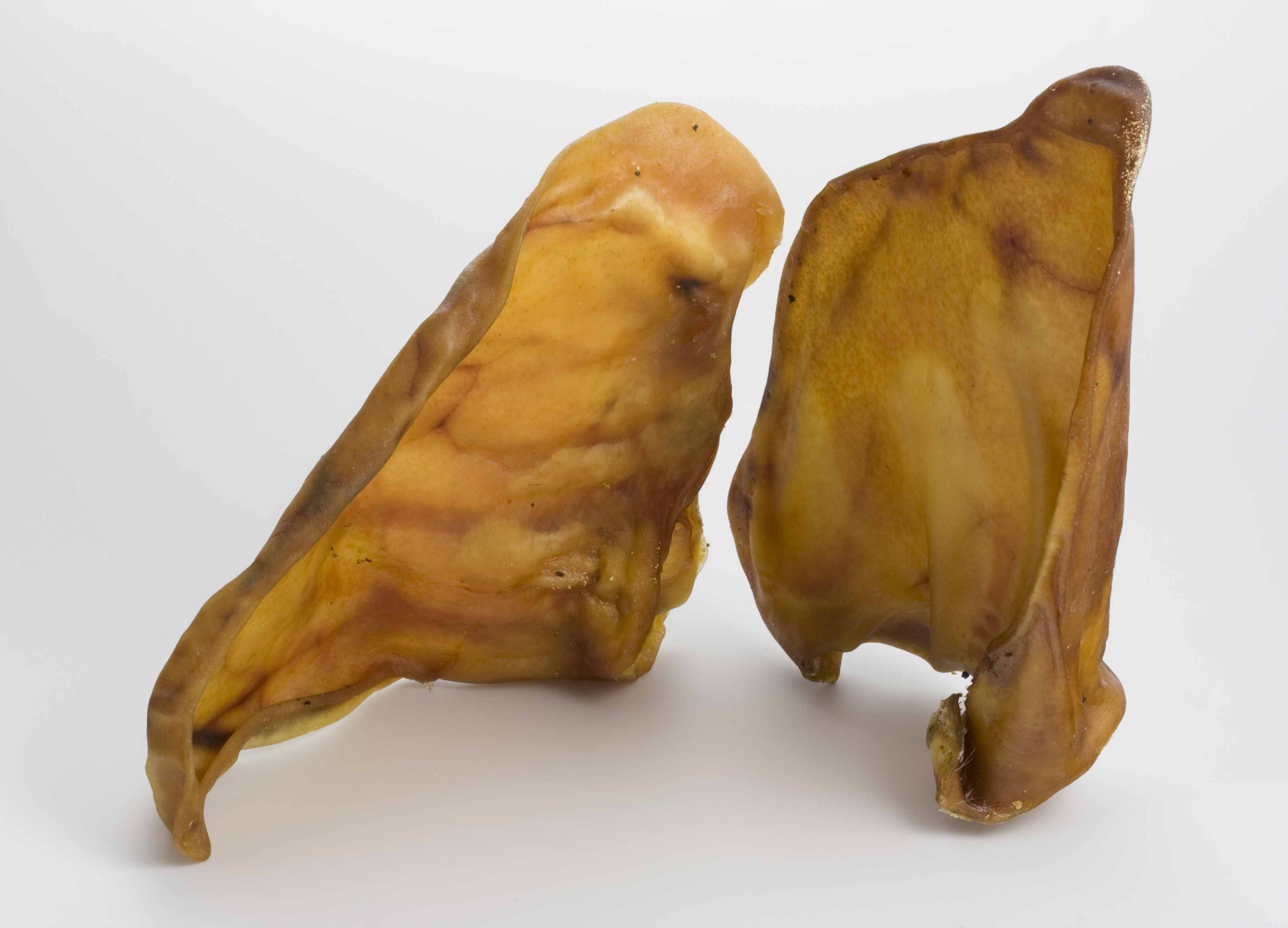 Choosing the Best Treat Varieties for Your Dog s Health