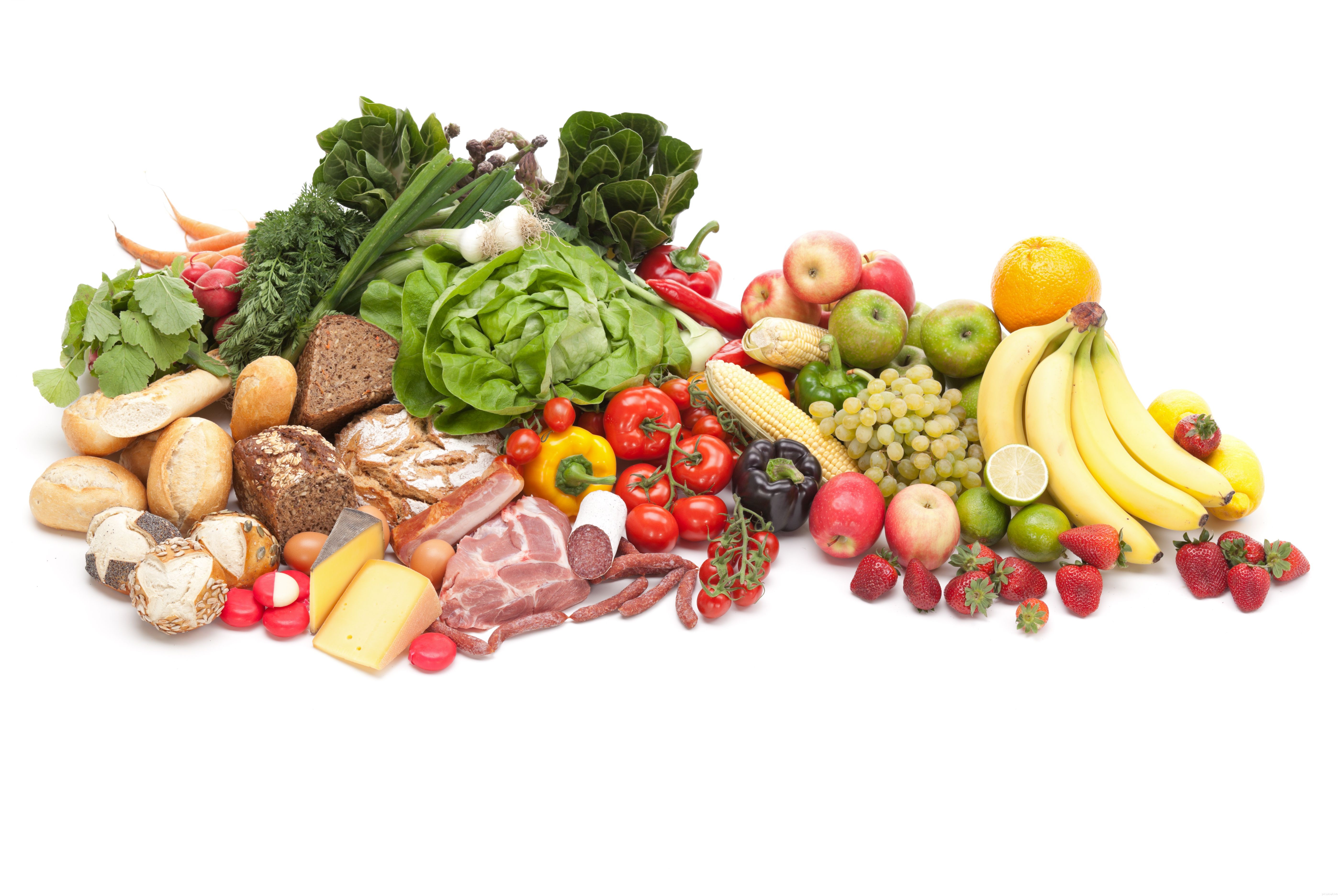Choosing the Best Treat Varieties for Your Dog s Health