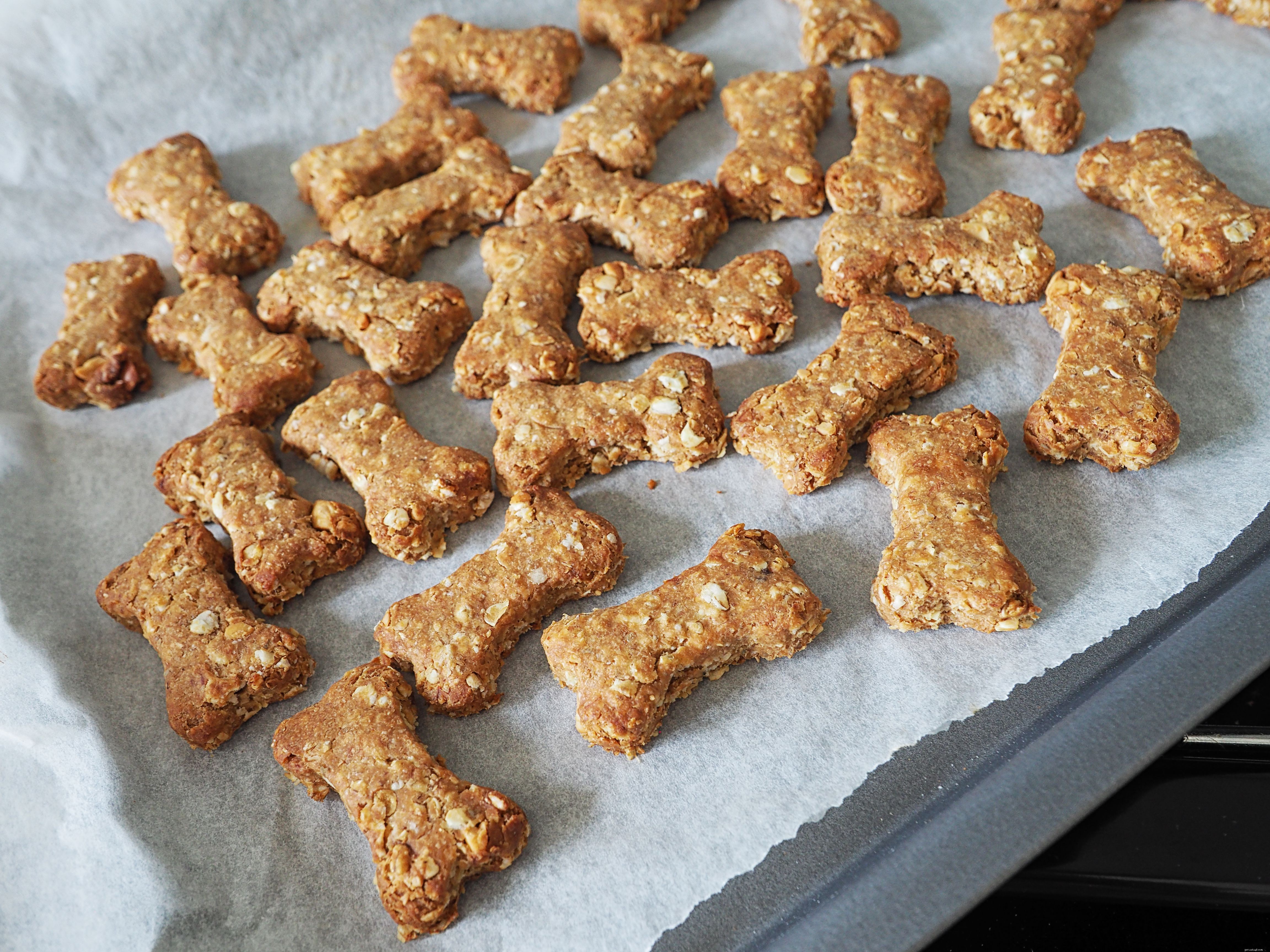 Choosing the Best Treat Varieties for Your Dog s Health