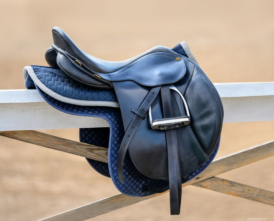 How to Select the Perfect English Saddle Pad (or Numnah) for You and Your Horse
