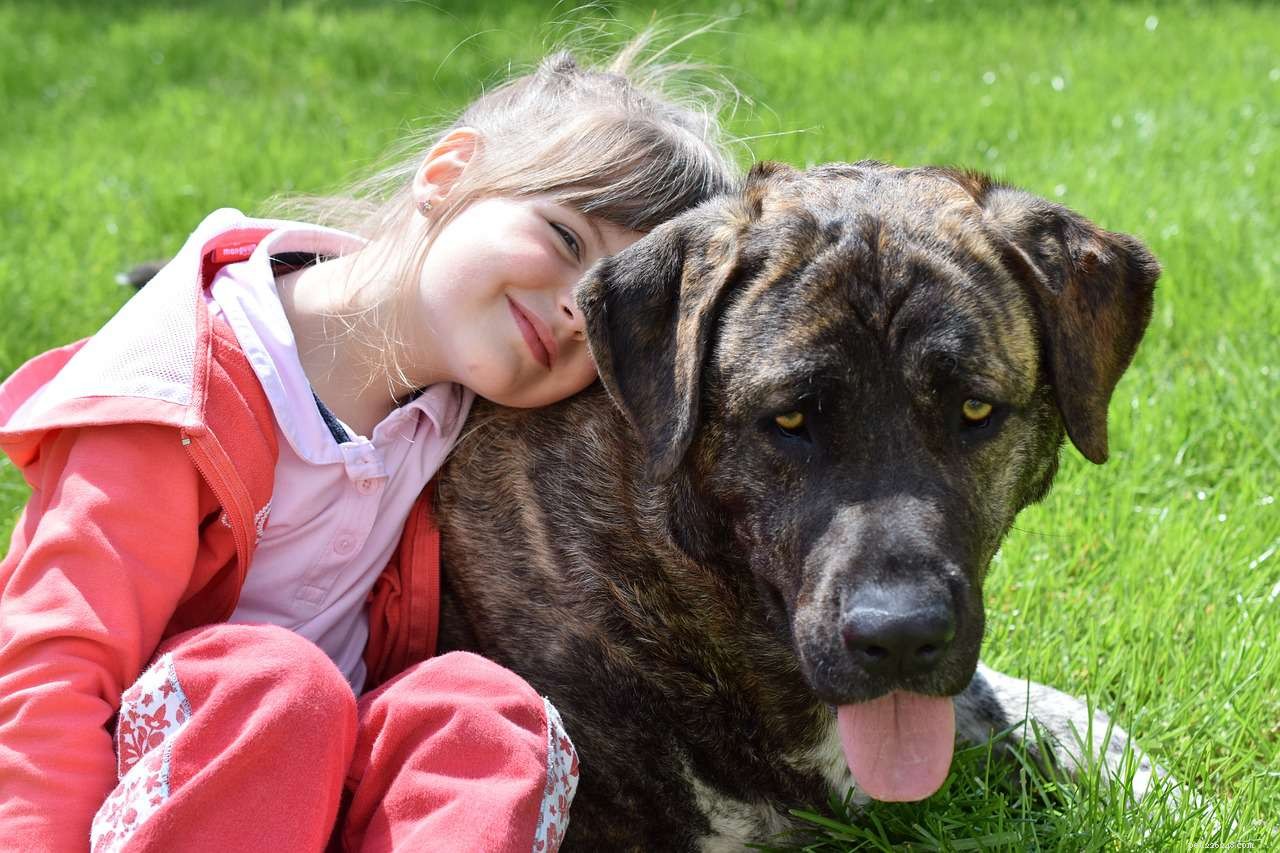 8 Essential Service Dog Types & Their Life‑Saving Roles