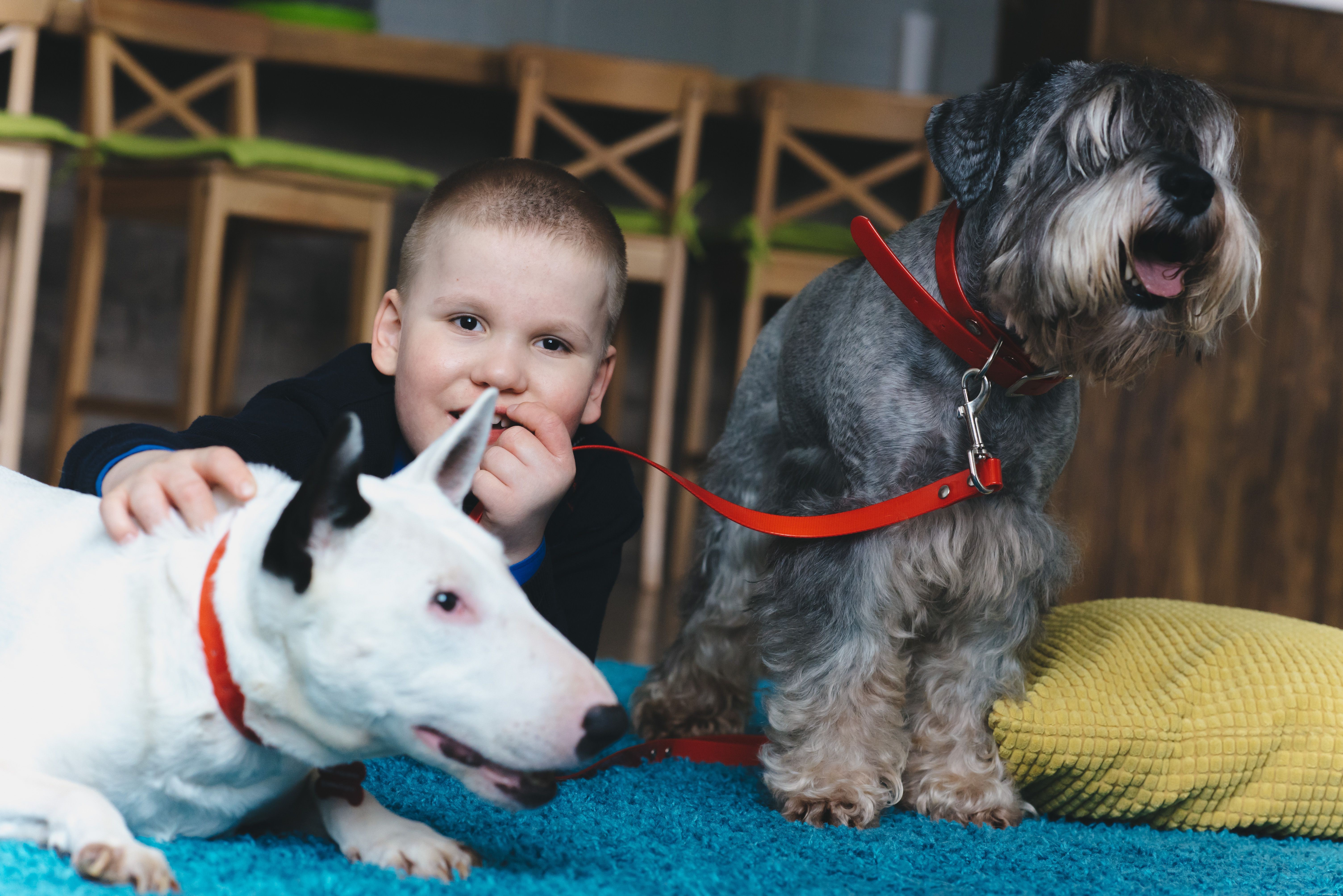 8 Essential Service Dog Types & Their Life‑Saving Roles