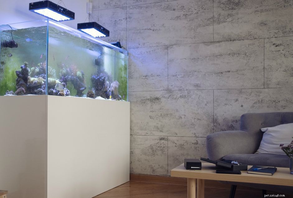 Choosing the Perfect Stand for Your Aquarium: A Practical Guide