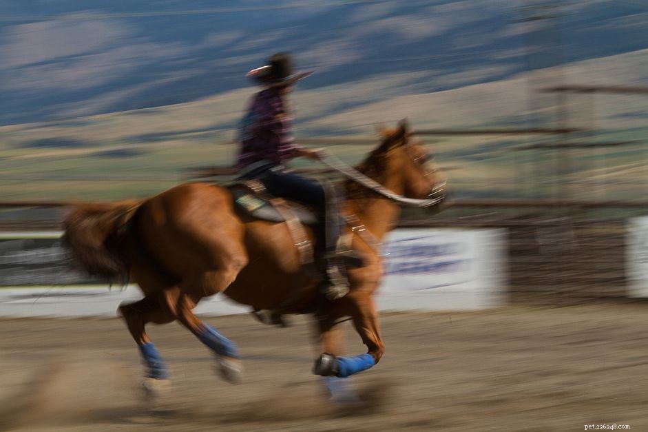Master Keyhole Racing: A Beginner’s Guide to Speed, Agility, and Precision