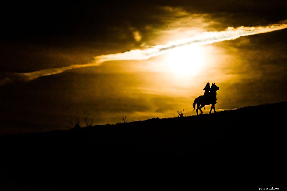 Essential Safety Tips for Nighttime Horseback Trail Riding