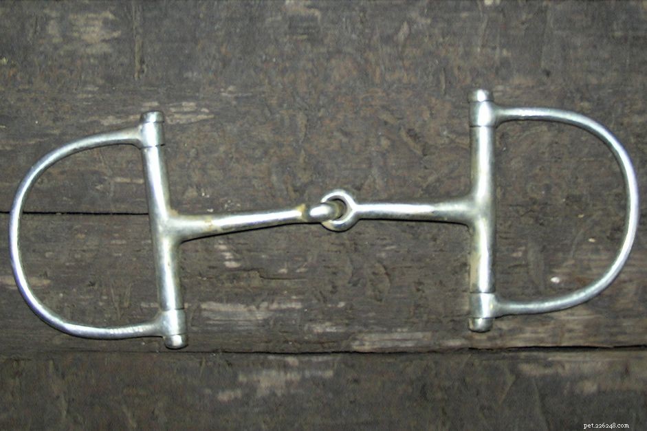 Understanding Snaffle Bits: Types, Uses, and How They Compare to Curb Bits