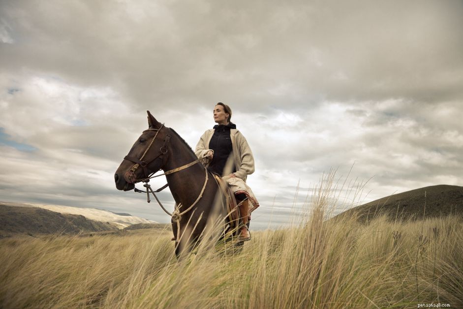 Master Neck Reining: A Step‑by‑Step Guide to Steering Your Horse with One Hand