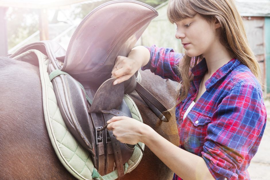 Riding Saddle Prices: A Complete Buying Guide