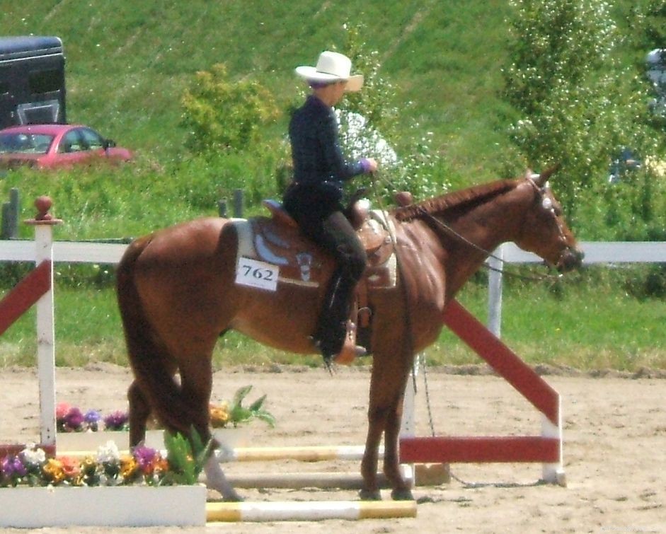 Master Neck Reining: Essential Techniques for English and Western Riders
