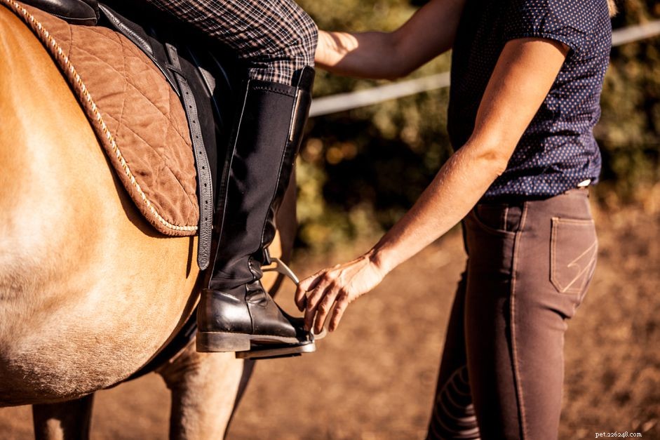 Mastering Stirrups: How to Place Your Feet Correctly for Balance and Comfort