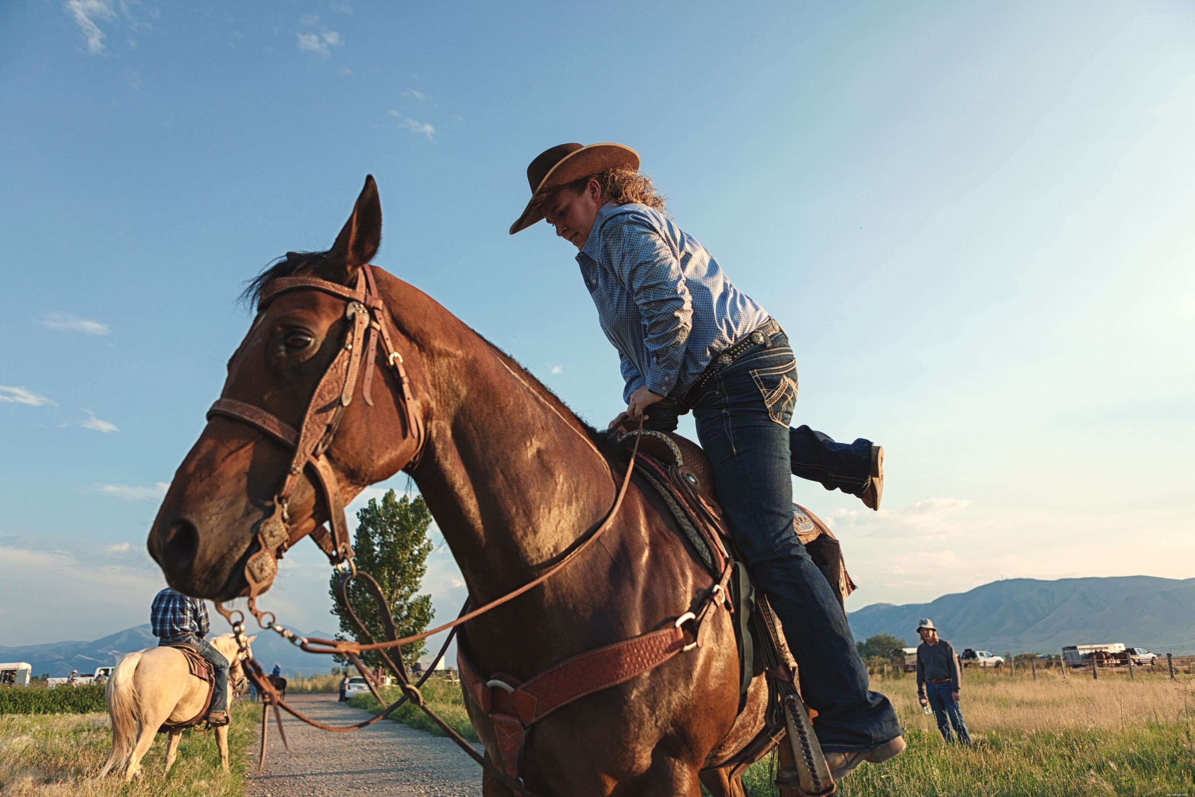 Mastering Stirrups: How to Place Your Feet Correctly for Balance and Comfort