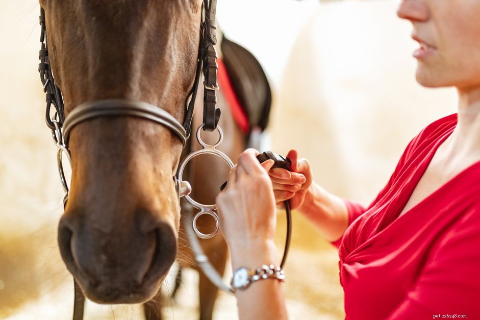 Professional Guide: How to Clean Your Horse Bit Safely