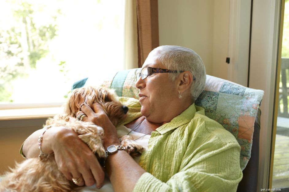 When It s Time to Say Goodbye to Your Dog: A Compassionate Guide