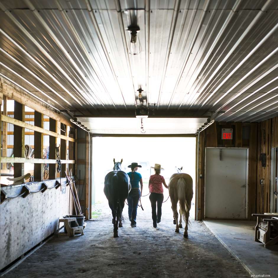 Determining the Ideal Size for Your Horse Stable or Barn