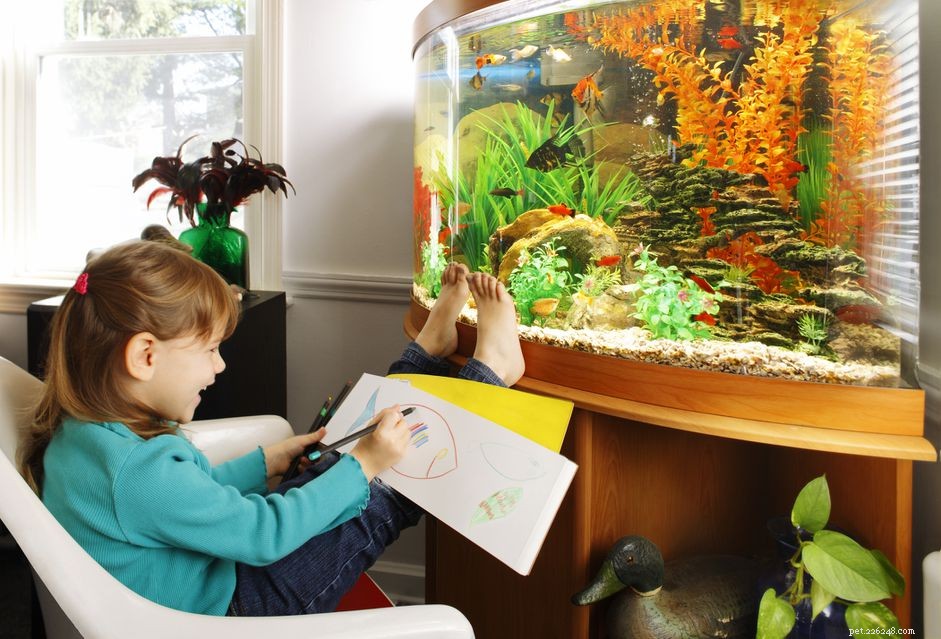 Is It Safe to Use Multiple Heaters in a Marine Aquarium?