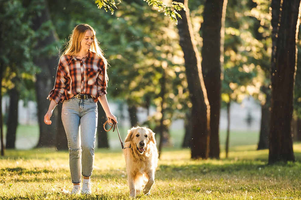 2021 Update on Canine Dilated Cardiomyopathy (DCM): Latest Research & Insights