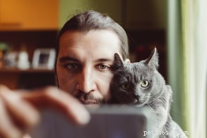 Essential Pet Apps for Health, Safety, and Entertainment