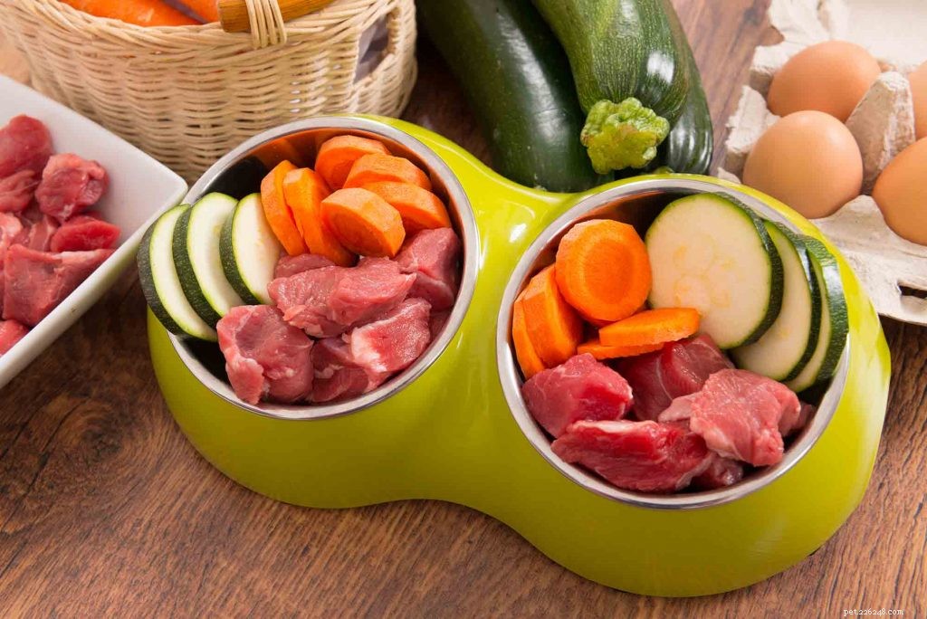 Building Lifelong Health: The Critical Role of Pet Nutrition