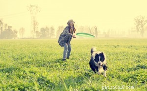 Top 5 Most Popular Pet Care Blogs of 2017 – Highlights from Animal Skin & Allergy Clinic