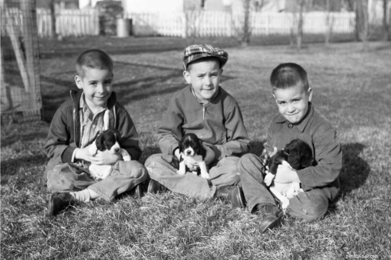 Exploring the Rich History of Pet Ownership: From Ancient Times to Today