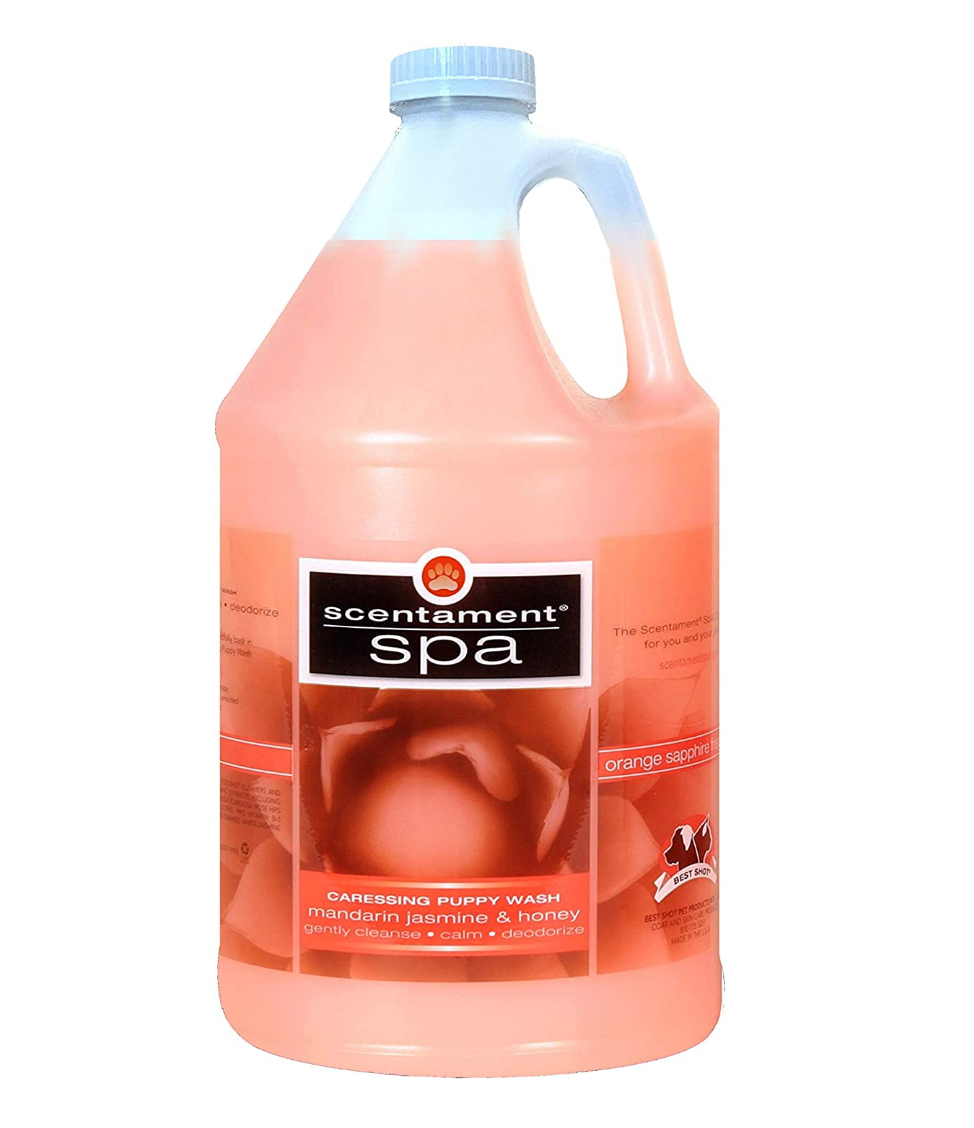 Scentament Spa Mandarin Honey Puppy Shampoo Review – Premium Spa Care at Home