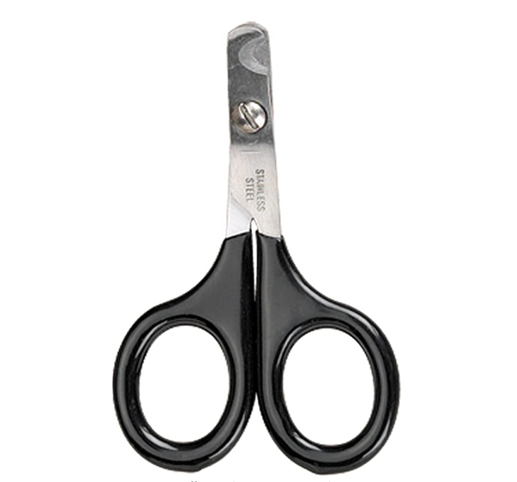 Master Grooming Tools Pet Nail Scissors – In‑Depth Review & Buying Guide