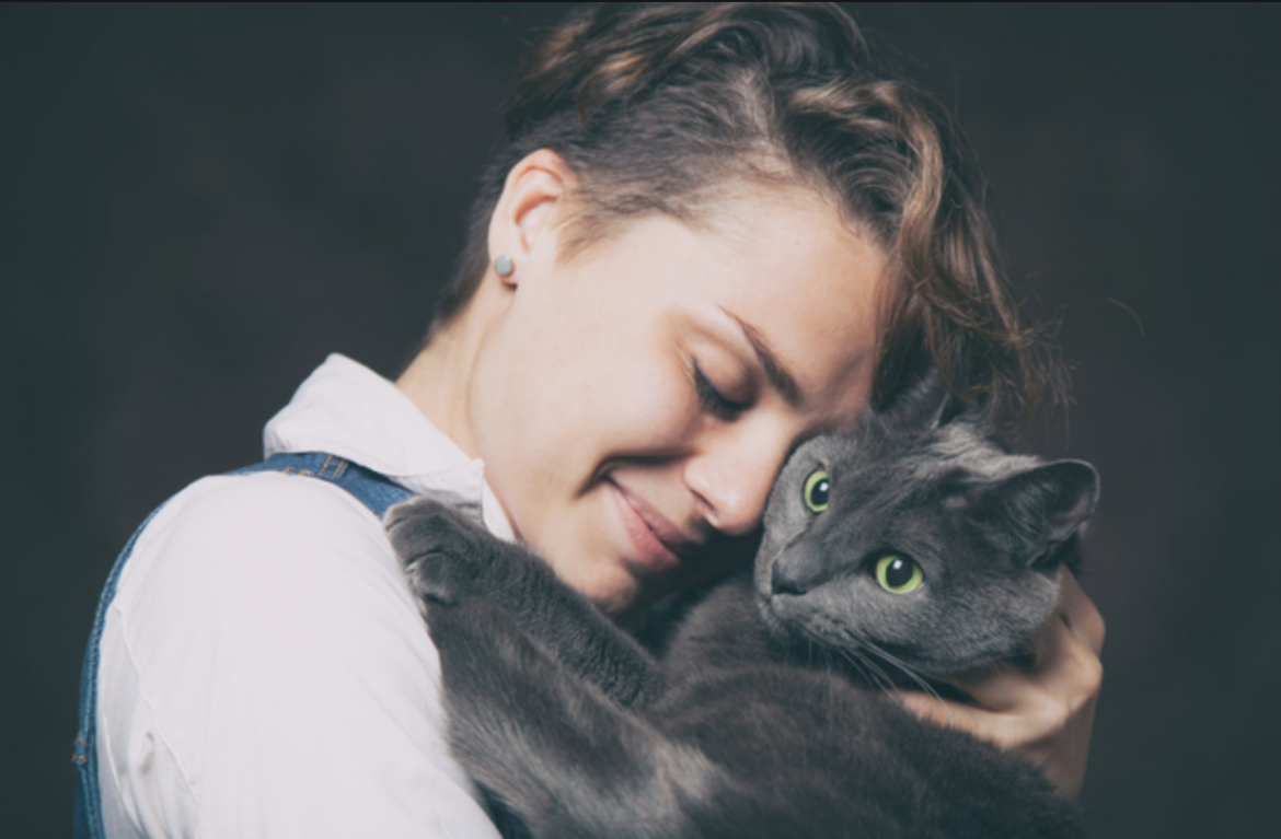 Win Your Cat s Heart: 9 Proven Steps to Build Trust