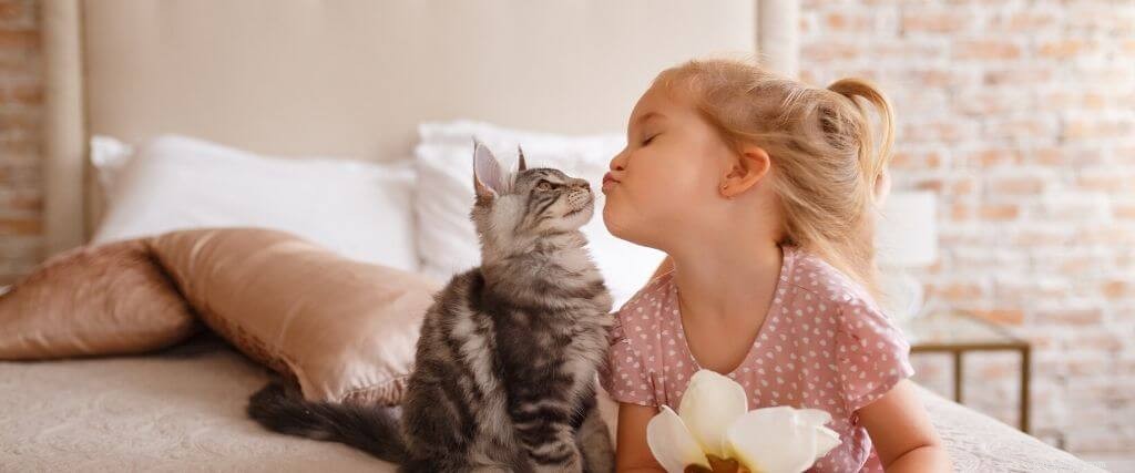 10 Proven Steps to Keep Your Cat Healthy and Happy
