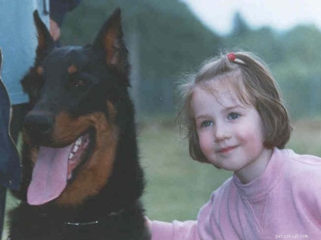 Beauceron Dog Breed: History, Traits, and Care Guide