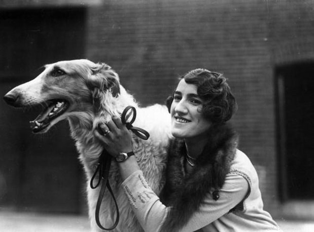 Borzoi (Russian Greyhound) – Comprehensive Breed Profile & Care Guide