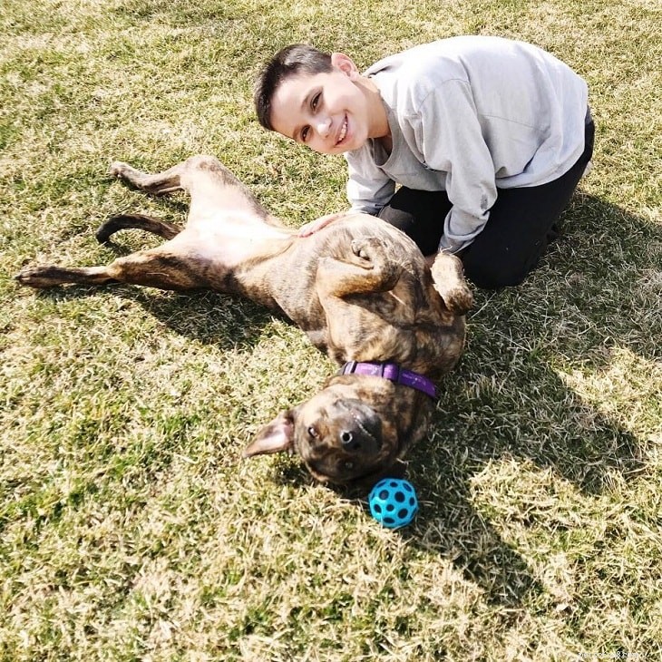 Plott Hound: A Complete Breed Profile