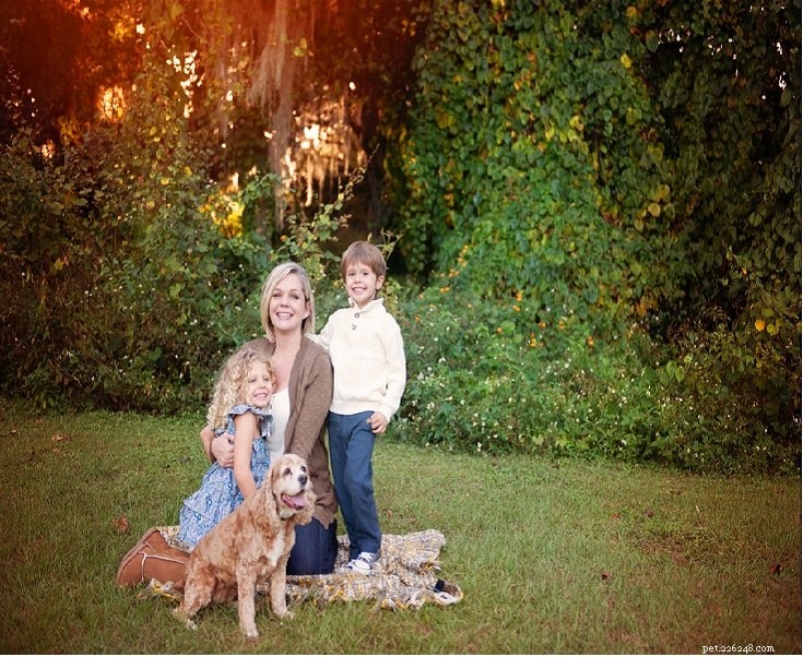 Cocker Spaniel: Comprehensive Breed Guide – Size, Temperament & Care