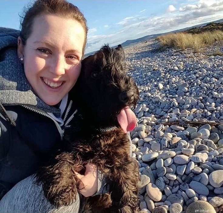 Cesky Terrier: Characteristics, Care, and History