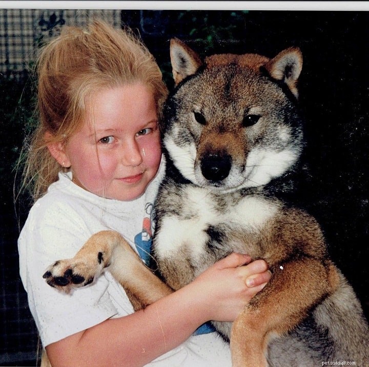 Shikoku Dog: Origins, Characteristics & Care