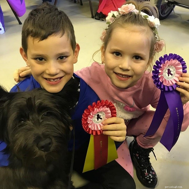 Skye Terrier: Complete Breed Profile & Care Guide