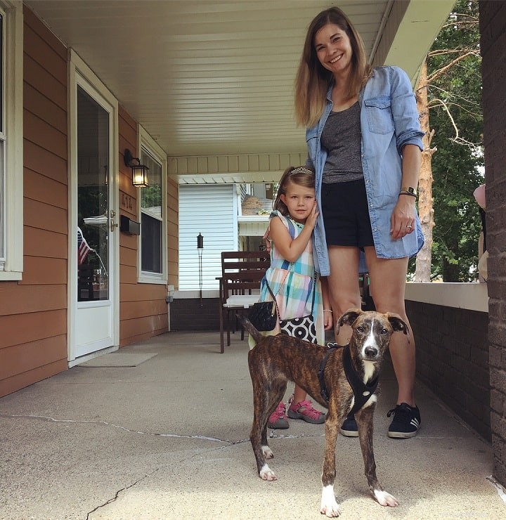 Tennessee Brindle Dog: Breed Overview, Traits & Care