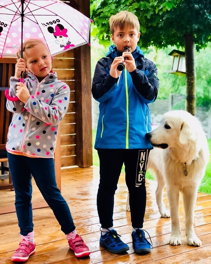 Slovensky Cuvac: Slovakia’s Versatile Herding Dog – Breed Profile & Care