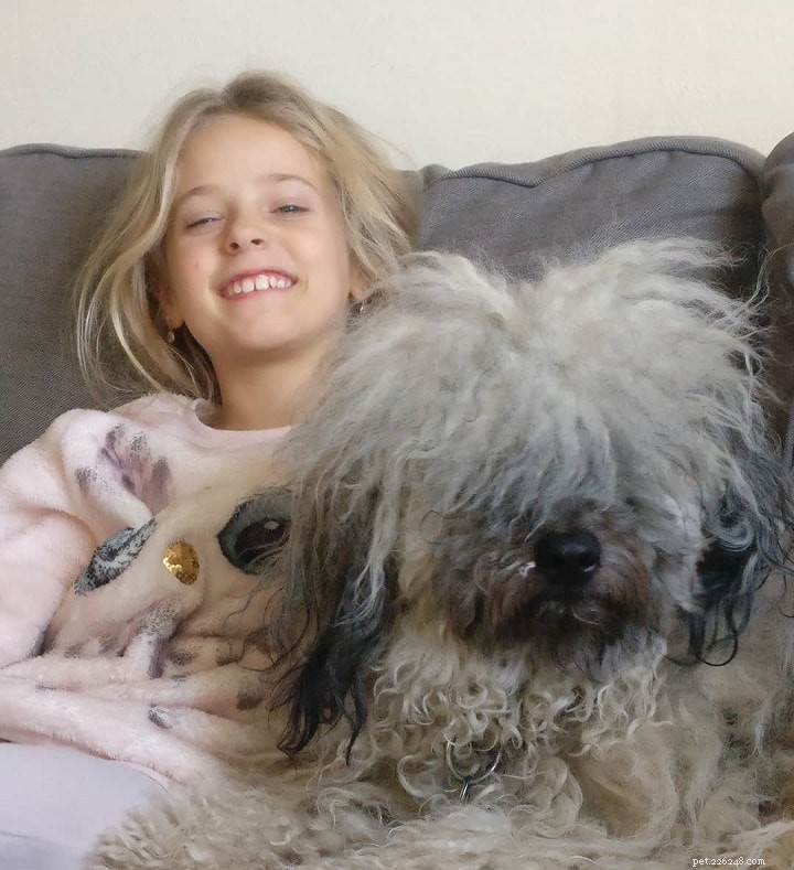 Puli Dog: Comprehensive Breed Profile & Care Guide