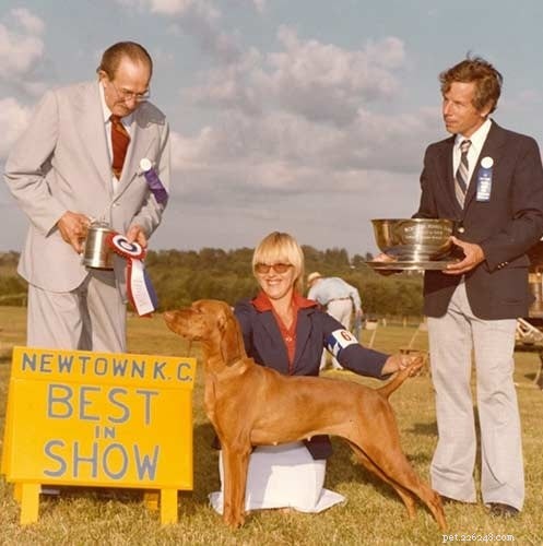 The Vizsla: Hungary’s Legendary Sporting Dog