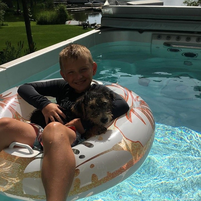 Airedoodle Dog Breed Guide: Origin, Features & Care