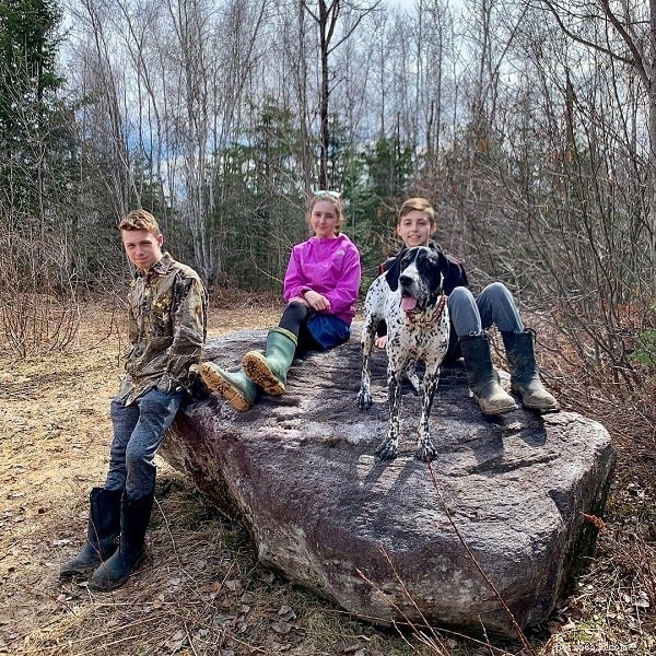 Braque d’Auvergne Pointer – A Reliable Hunting Dog & Loving Family Companion