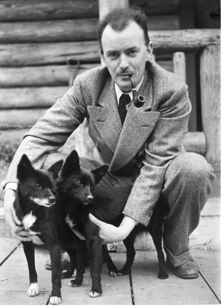 Tahltan Bear Dog: History, Characteristics, and Legacy of the Extinct Hunting Breed