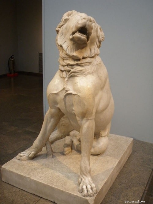 The Molossus: Ancient Giant Dog Breed That Shaped History