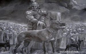 The Molossus: Ancient Giant Dog Breed That Shaped History