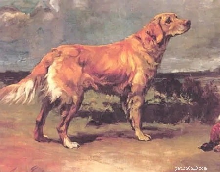 The Russian Tracker: A Lost Retriever Breed of the Caucasus