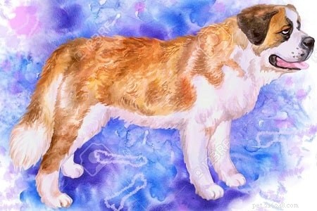 Alpine Mastiff – The Legendary Extinct Giant Dog Breed