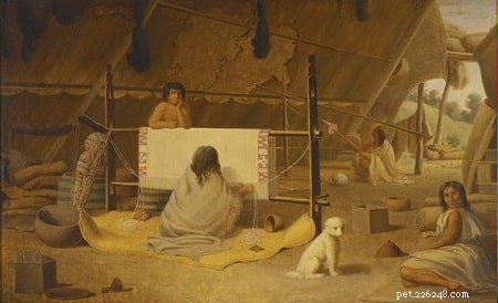 Salish Wool (Comox) Dog – History & Extinction of the Coastal Spitz